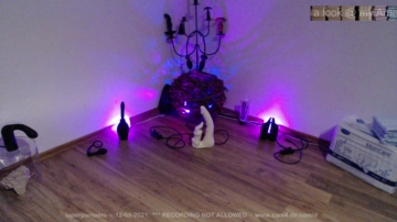 PlayboyGazi  08-12-2021 Recorded Video Show